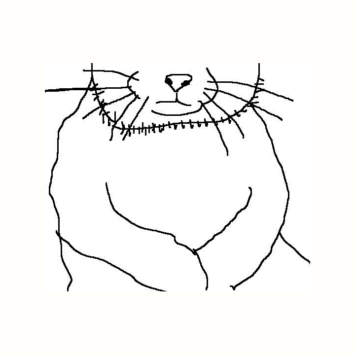 Die-cut WOCAT folded arms